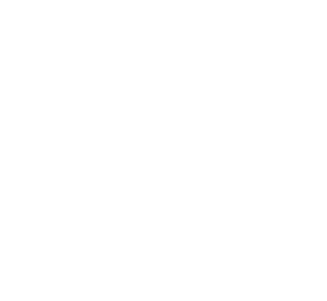 The logo of Homewizard